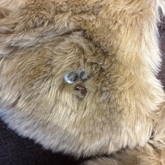 ネネット　ne-net 襟巻きの画像