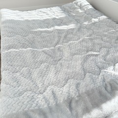 ニトリ　こたつ布団の画像