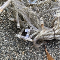 イルミネーションの画像