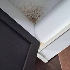 リサイクルショップどりーむ荒田店　No5073　食器棚　小型　写真参照🎵　シミ・汚れありの為、格安😢の画像