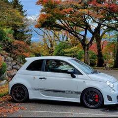 595コンペ180ps前期型最強　グレー 100万円の画像