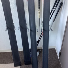 オガサカスキーの画像