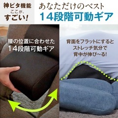 腰の神様がくれた座椅子の画像