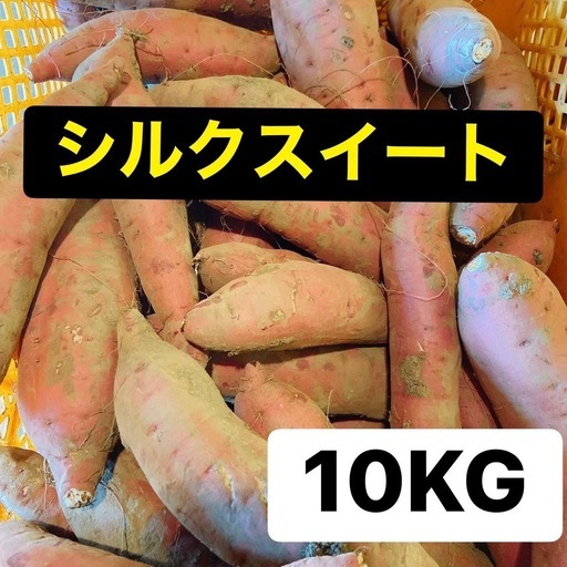 紅はるか10kg シルクスイート10kg