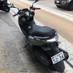 マジェスティsの画像