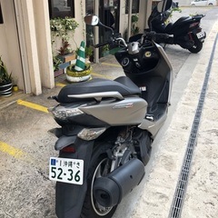 マジェスティsの画像