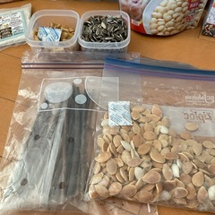 小動物用品⭐の画像