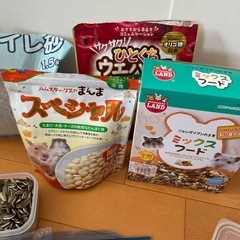 小動物用品⭐の画像