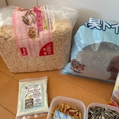 小動物用品⭐の画像