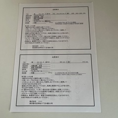 パーソナルチェアNシールドロード4の画像