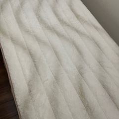 電気毛布&敷きパッド シングル
の画像