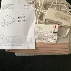 電気毛布&敷きパッド シングル
の画像