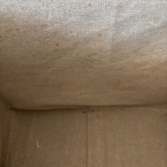 ちどり産業　フタ付き収納ボックス【現時点で2つあります】の画像