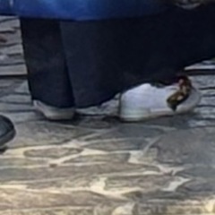 草履スリッポン（草履風上履き）七五三　16cm 男の子の画像