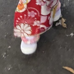 草履スリッポン（草履風上履き）七五三　16cm 女の子 の画像