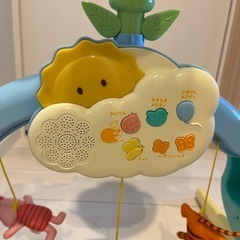 プーメリーの画像