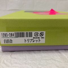 深川製磁 白百合 トリプレット 3枚組の画像