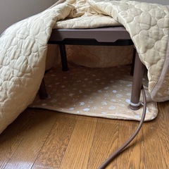 マルカン ネコ用 遠赤外線にゃんこの和みこたつ Mサイズの画像