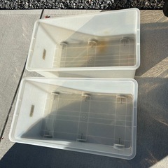 衣装ケース　収納ケース　蓋付き　の画像