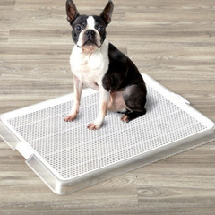 ペットレー クリアメッシュ　Sサイズ3枚＆Mサイズ1枚の画像