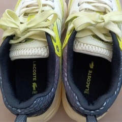 ラコステ　ストーム　ライトイエロー　23.5の画像