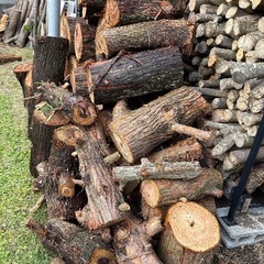 丸太 原木 薪 杉の画像