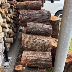 丸太 原木 薪 杉の画像