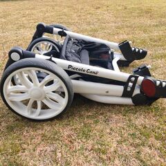 ペットカート　美品「ピッコロカーネ タント２」耐荷重40キロの画像