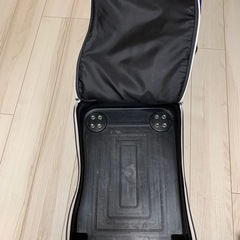 【昔のスキーカート】ロシニョールの画像