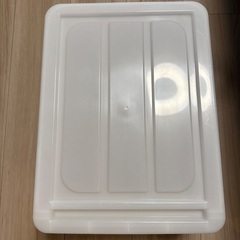 【収納ケース】ニトリ　縦17×横30×奥行き40の画像