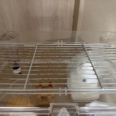 ハムスター　ケージ　ヒーター　セット　小動物　ゲージの画像