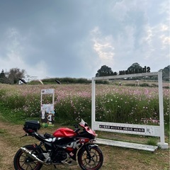 スズキ125の画像