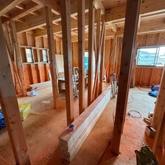 シロアリ　ネズミ　無料調査点検しております！害虫害獣駆除予…