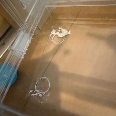 決まりました！【断捨離】ハムスターゲージセットの画像