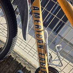 ☆希少☆AMERICAN EAGLE アメリカンイーグル クロスバイク 26インチ 24段変速 マウンテンバイク スポーツバイク 通勤 通学 ☆♪♪♪の画像