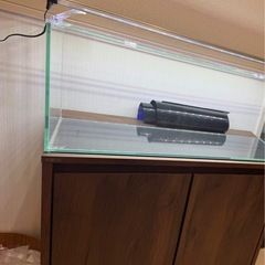 ジェックス スリム600 フレームレス水槽(60cm水槽)【ベストセラー】の画像