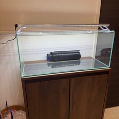 ジェックス スリム600 フレームレス水槽(60cm水槽)【ベストセラー】の画像