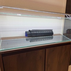 ジェックス スリム600 フレームレス水槽(60cm水槽)【ベストセラー】の画像