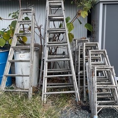 脚立　業務用　の画像