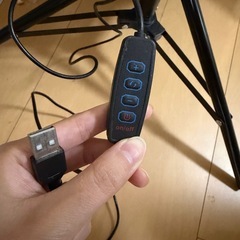 【断捨離】配信用？ライトの画像