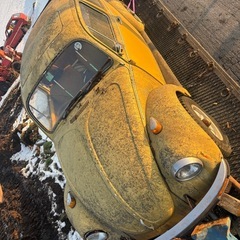 空冷ビートル　53年登録　書類ありの画像