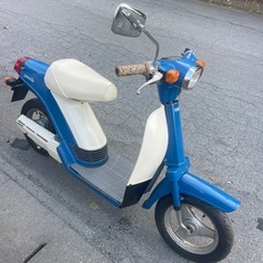 パッソーラ！４７年所有、ワンオーナーの画像