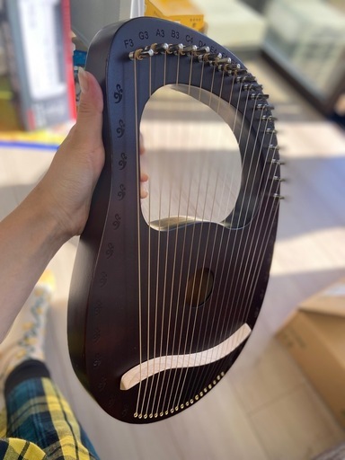 ‼️値段交渉応じます‼️弦楽器ライヤー