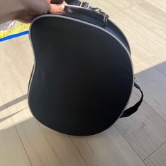 ‼️値段交渉応じます‼️弦楽器ライヤーの画像