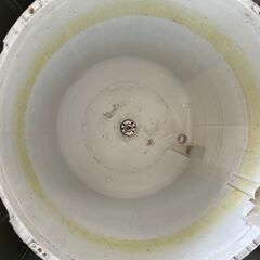 洗濯機の分解クリーニング行っています！配送設置込み　2020年製　ニトリ6.0K洗濯機　分解クリーニング済み！！の画像