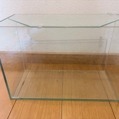 [譲ります]GEX 水槽の画像