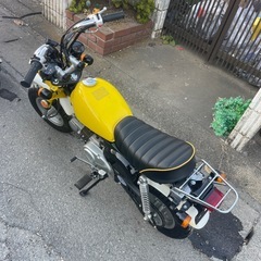 モンキー、説明プロフィール必見の画像