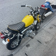 モンキー、説明プロフィール必見の画像