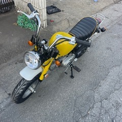 モンキー、説明プロフィール必見の画像