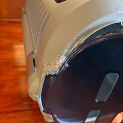 クレート　犬の画像